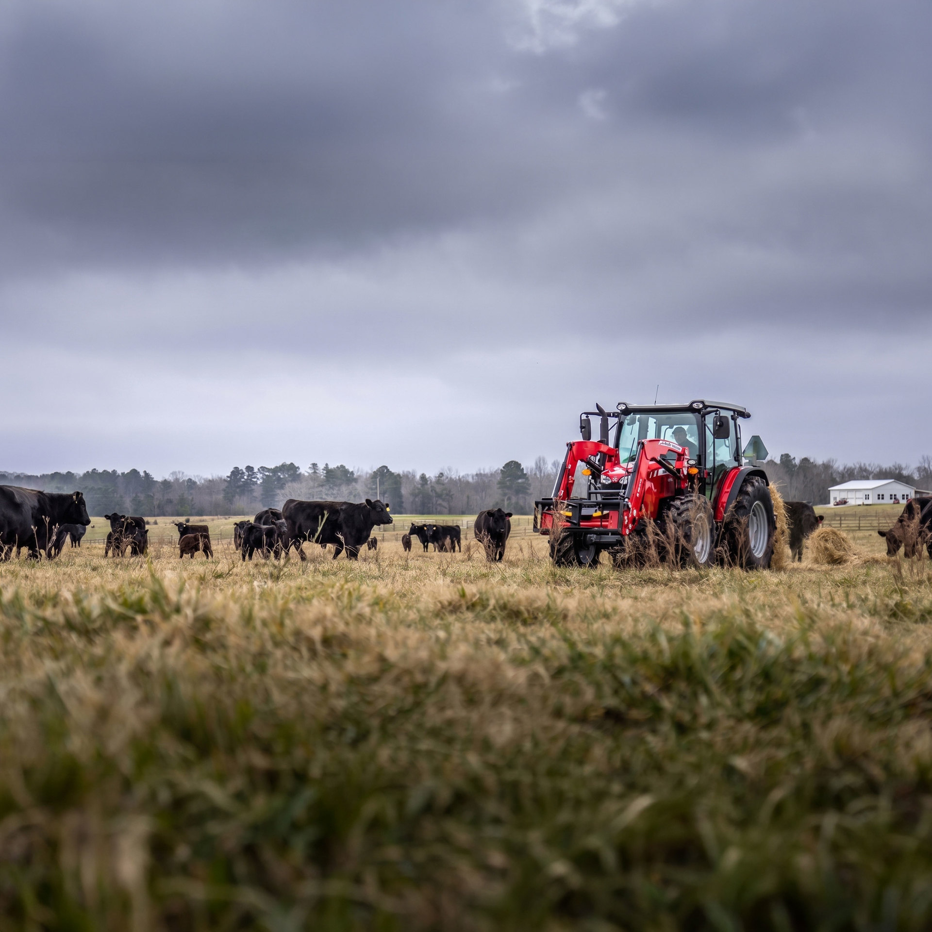https://x-assets.autorevo-powersites.com/content/assets/clients/48b34e52-02bf-4c60-8607-903febfa7f3d/ranch_work_scene_massey_ferguson