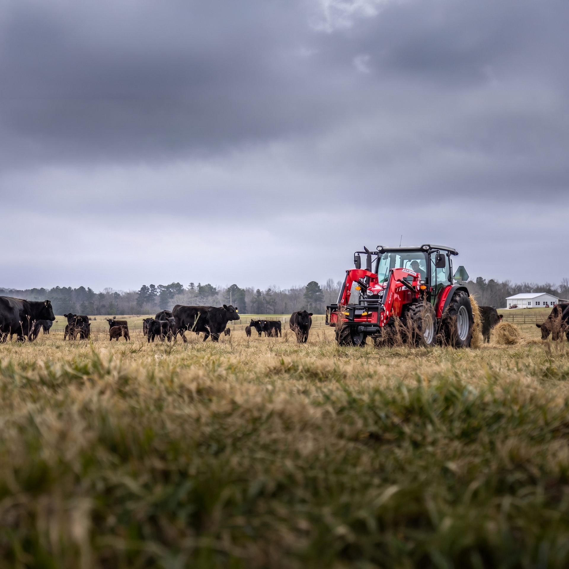 https://x-assets.autorevo-powersites.com/content/assets/clients/a239bf89-b110-49b7-ba90-3a87f461ce6f/ranch_work_scene_massey_ferguson